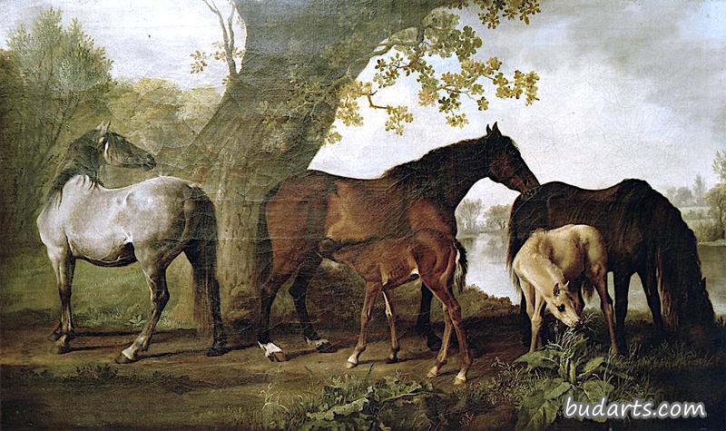 溪边的母马和马驹