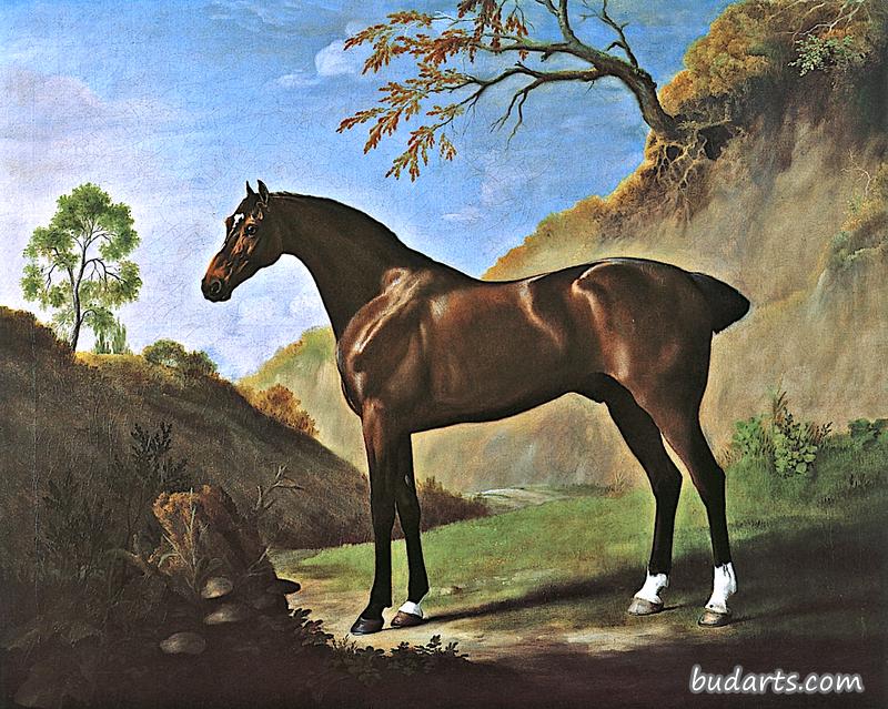 马尔伯勒公爵的一匹黑马，在树桩上的毒蕈旁