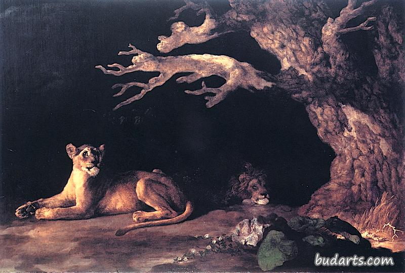狮子和母狮栖息在黑暗洞穴的洞口