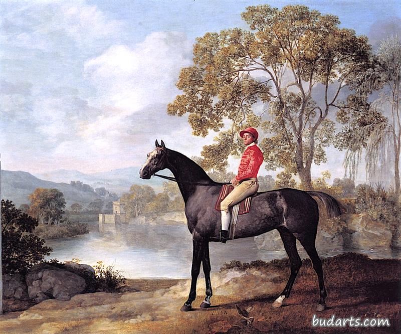 威尔德曼先生的一匹名叫“尤斯顿”的马的肖像