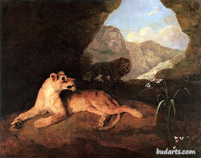 山洞里的狮子和狮子