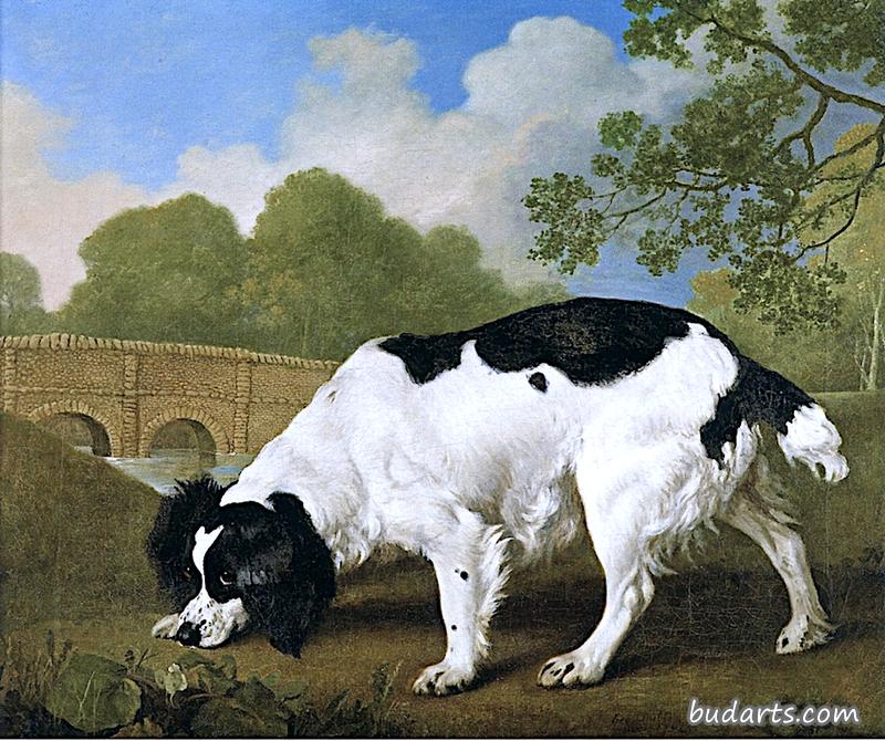 “法德尔”，一只黑白相间的猎犬，属于约翰·内尔索普爵士