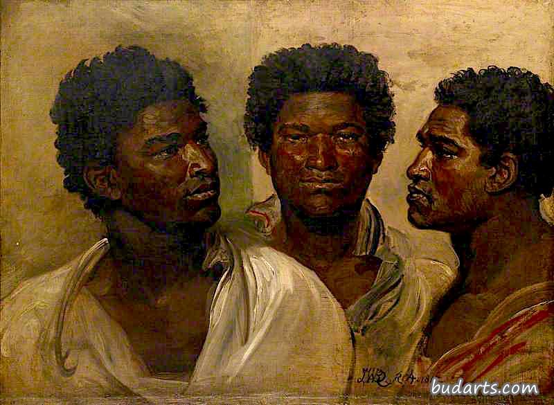 马达加斯加土著头像的三种观点