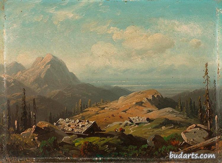 高山牧场山地景观