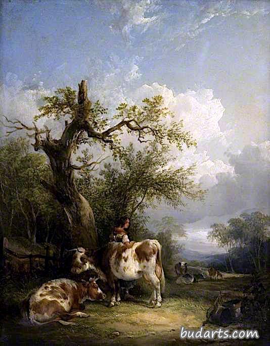 牛的风景
