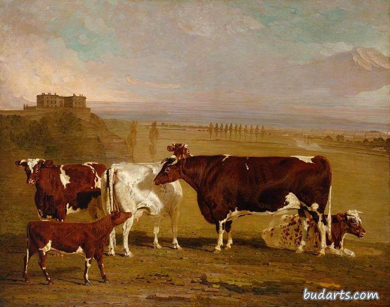 伦顿J.威尔金森庄园改良短角牛的肖像