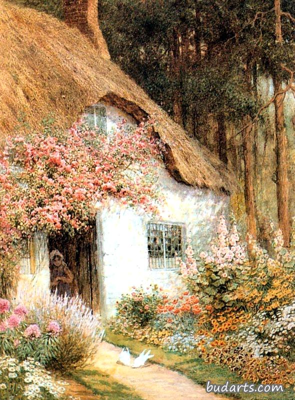 小屋前的鸽子