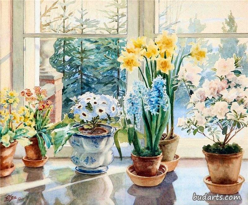 窗台上的花
