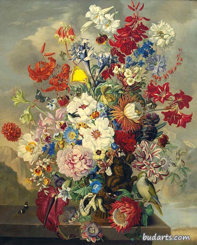 鹦鹉蝴蝶花静物画