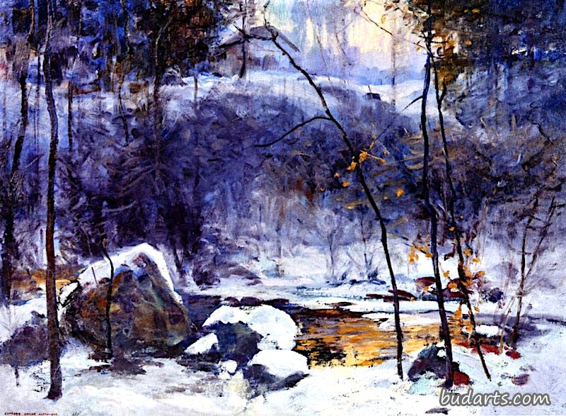 冬季林地日落