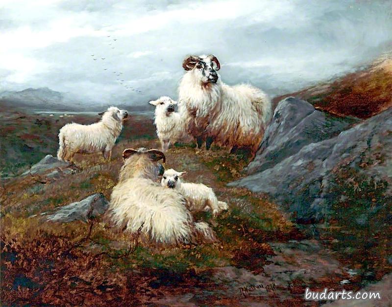 山水五羊