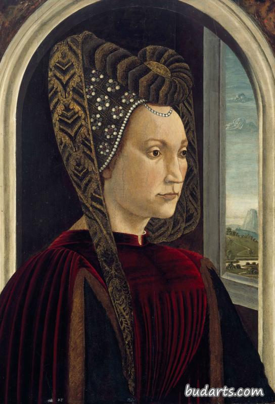 克拉丽斯·奥西尼的肖像，洛伦佐的妻子，壮丽？