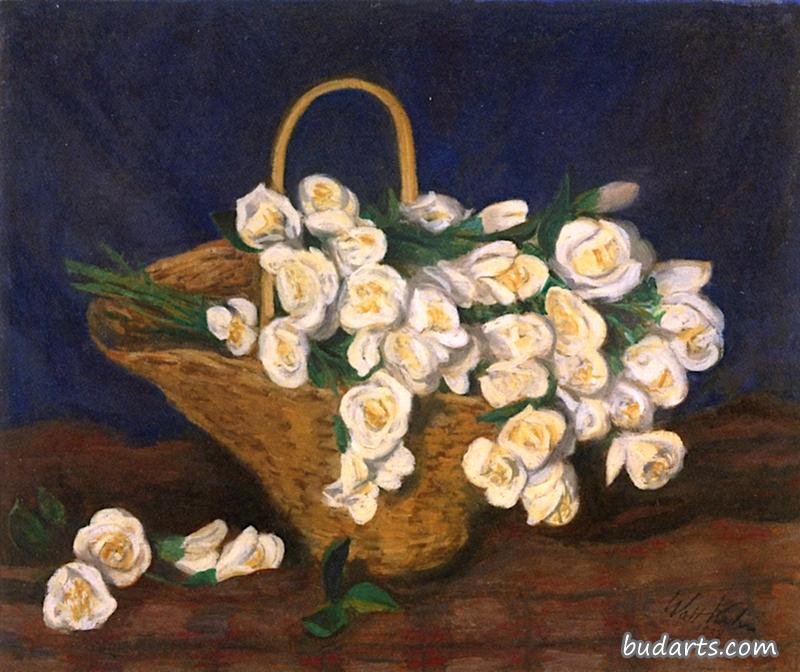 篮子里的白玫瑰