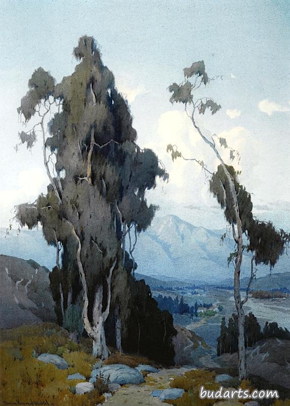 山谷美景