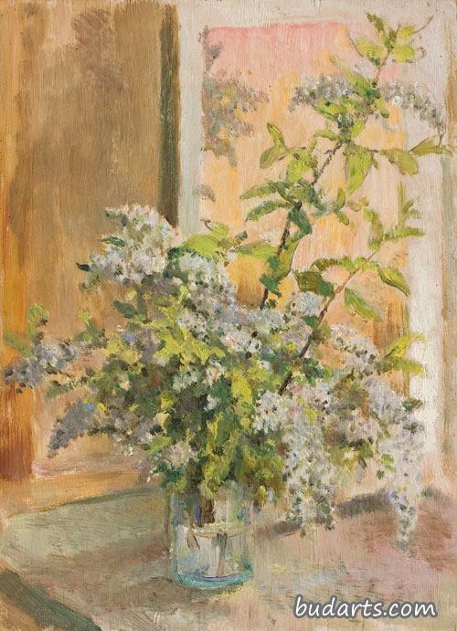 鸟樱花