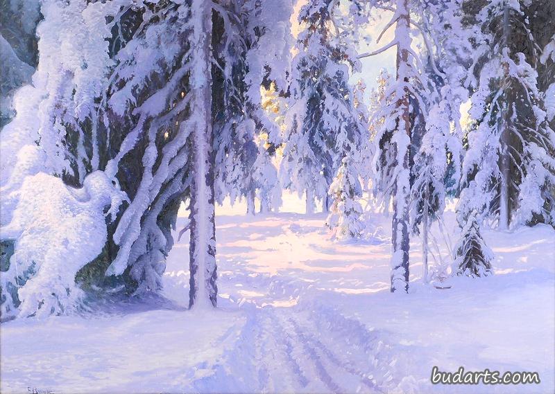 冰雪覆盖的冬季景观