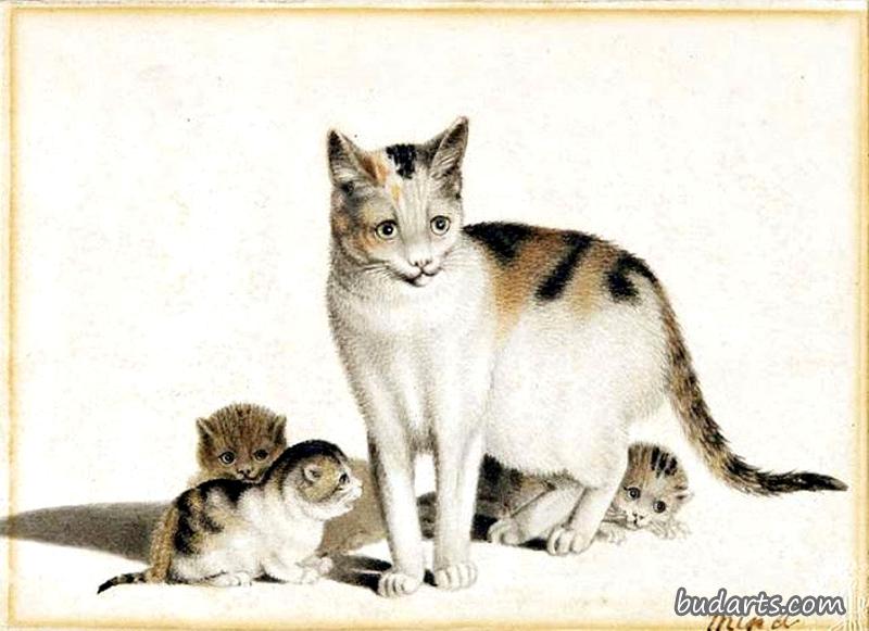 猫和小猫