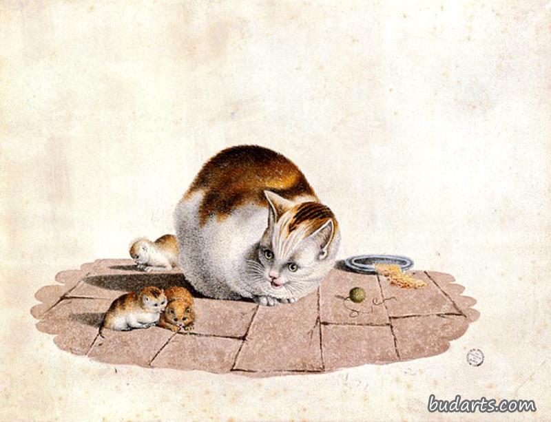 猫和小猫