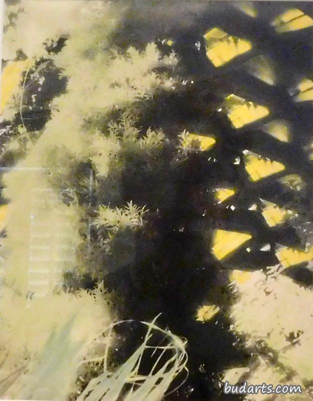 植物学2