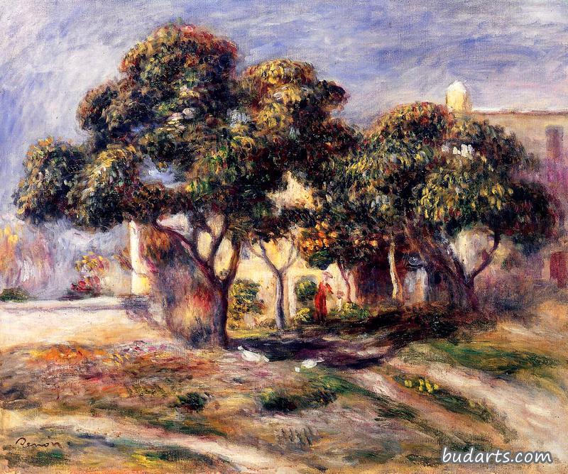 Medlar Trees, Cagnes