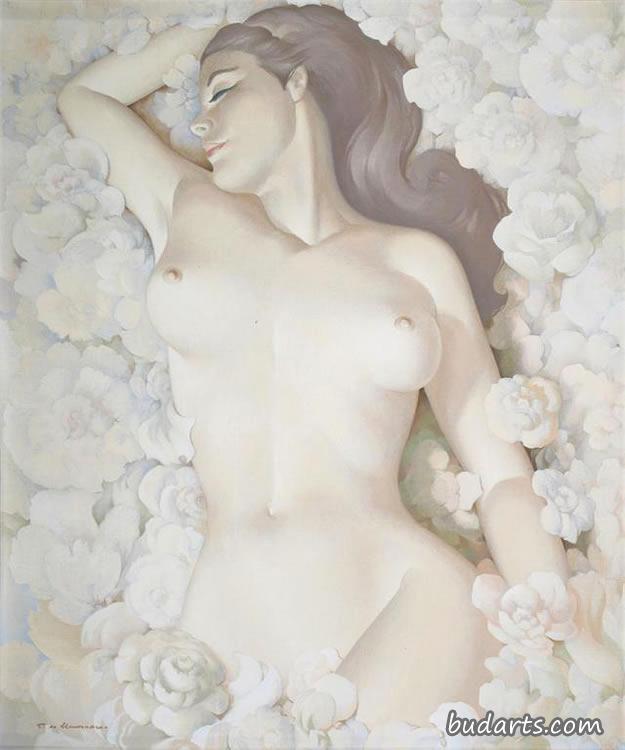 皮肤之花