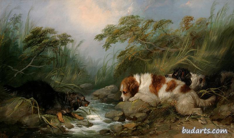 三条狗在河边