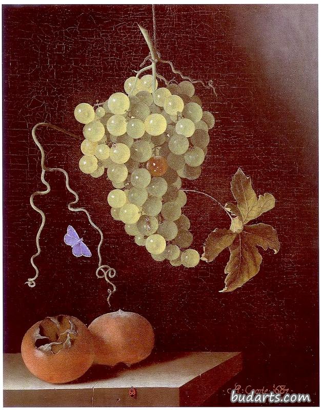 静物画挂着一串葡萄，两棵杨梅和一只蝴蝶