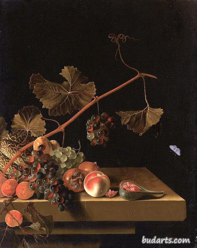 有水果和葡萄藤的静物画