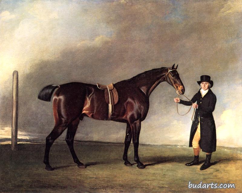 约瑟普·库克森先生的棕色小马“哈里爵士”，由马顿的彼得·蒂克尔爵士牵着，新郎抱着