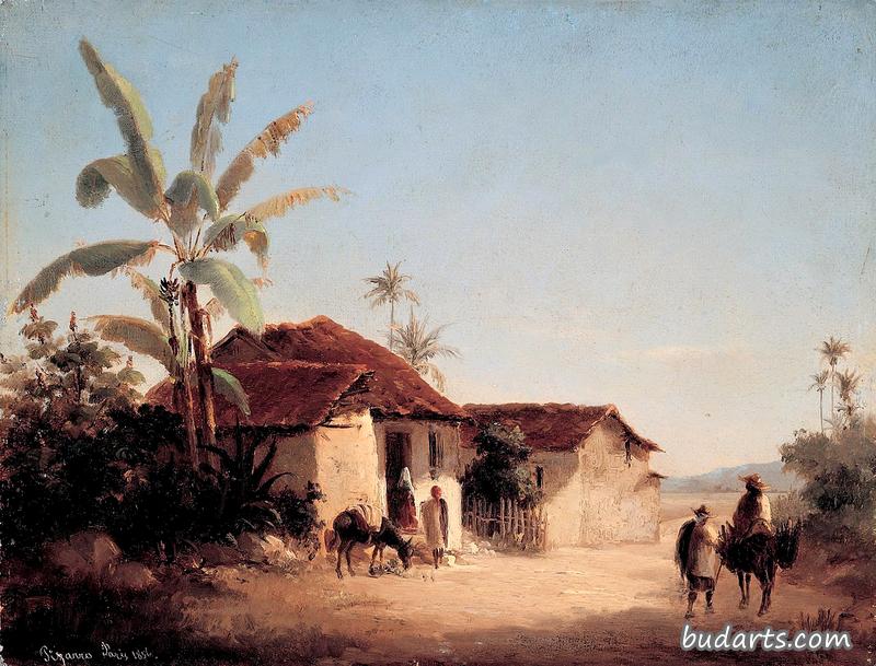 农舍和棕榈树的风景