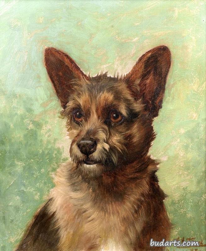 猎犬的头
