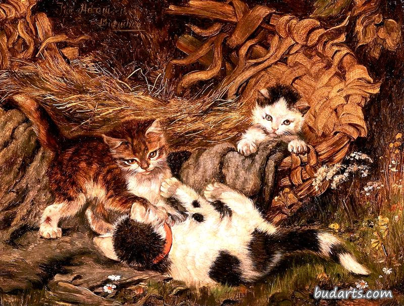 猫玩篮子