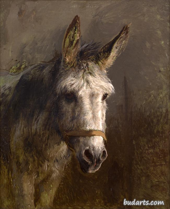 驴的肖像