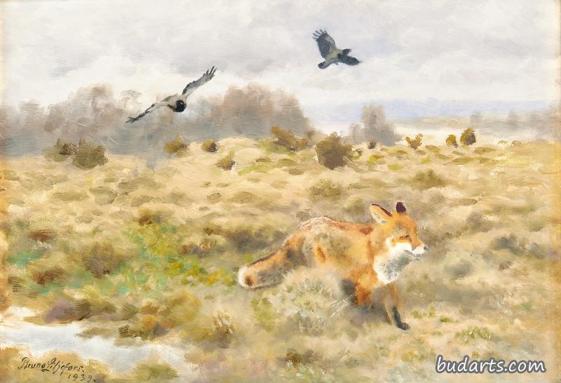 狐狸和乌鸦的风景