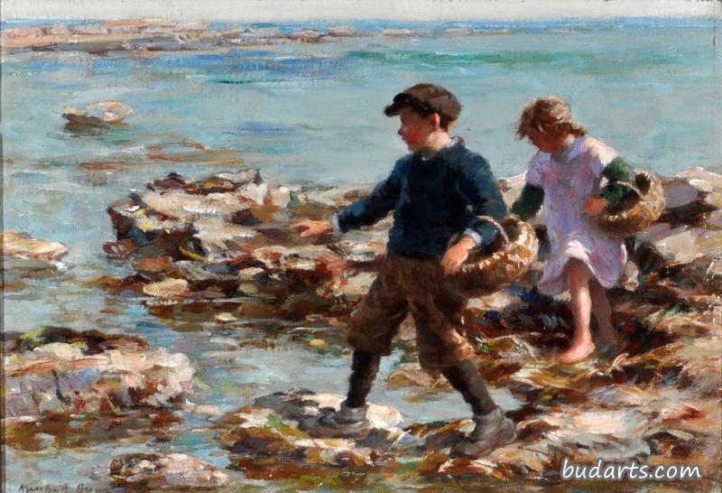 在岩石海岸上采集贝类的女孩和男孩
