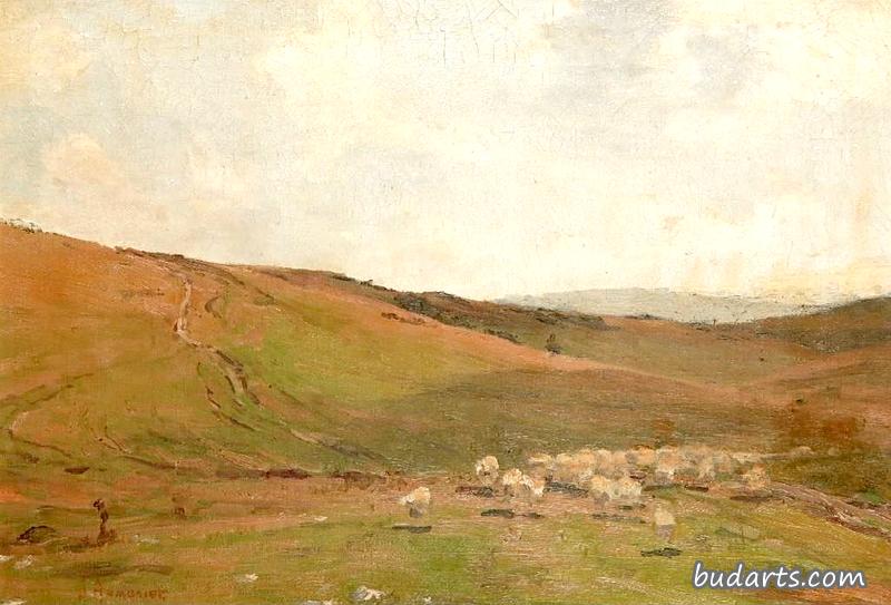 风景中的羊