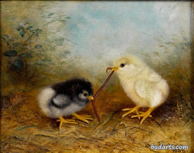 两只有虫的小鸡