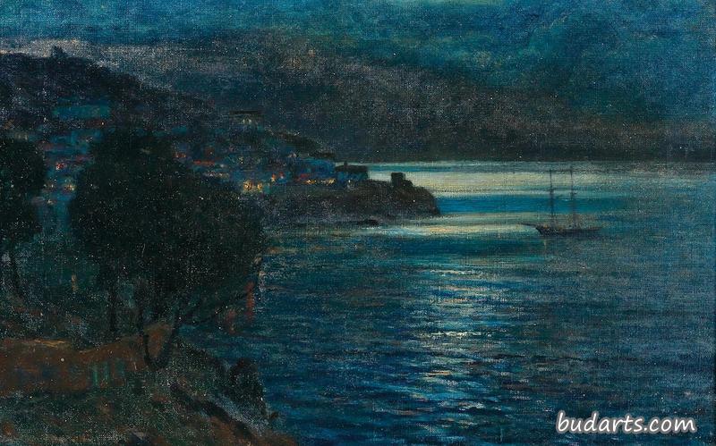 夜间海岸景观