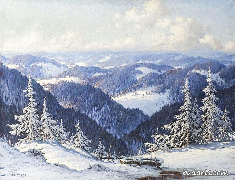 黑森林的雪景
