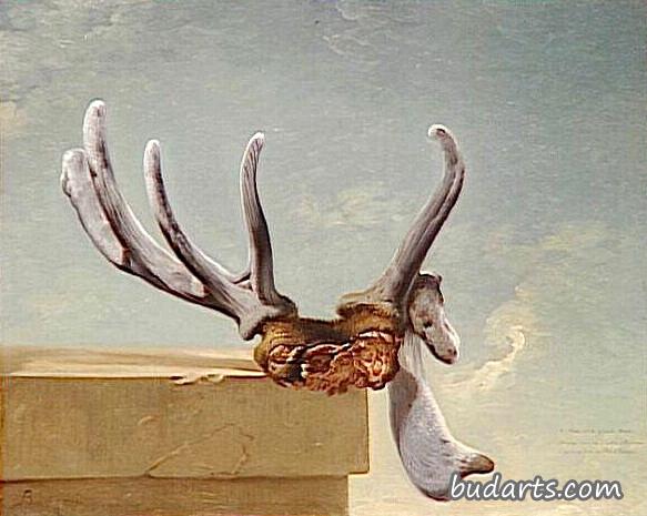 Bois de cerf attaqué dans les tailles d'Epernon (Deer antler attacked in Epernon)