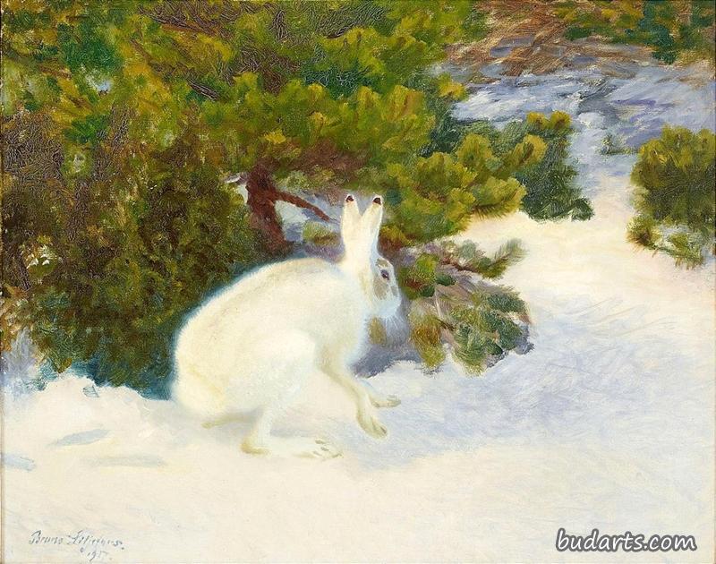 兔子在冬天的景象