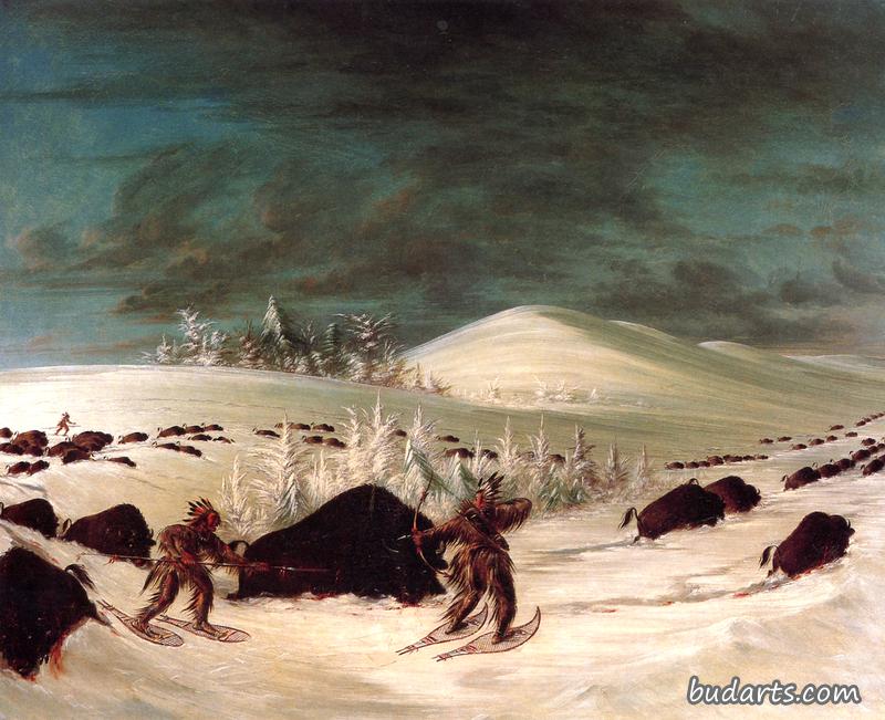 雪地野牛狩猎
