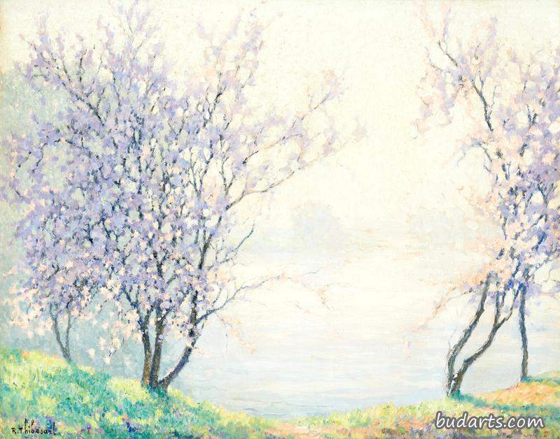塞纳河畔鲜花树