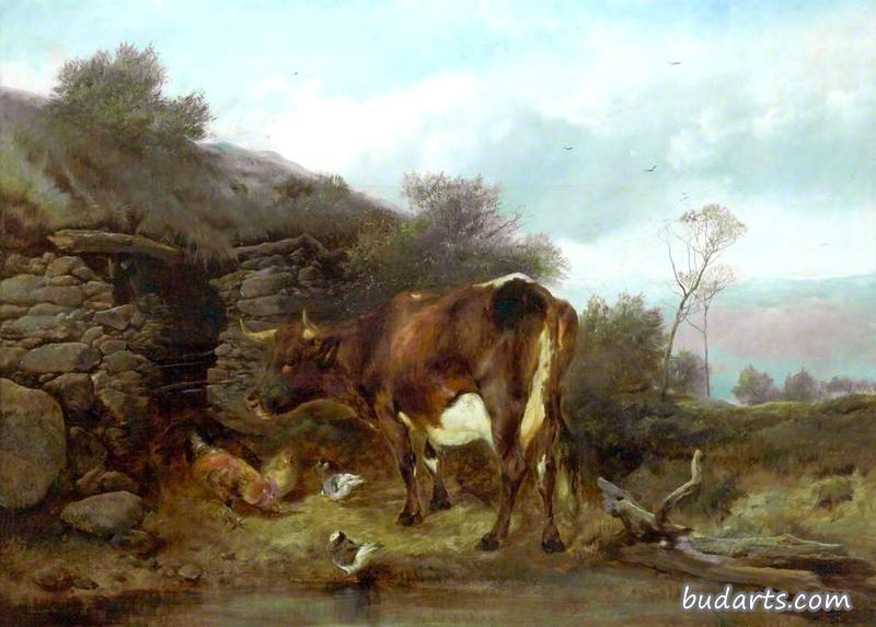 田园风光中的牛和家禽