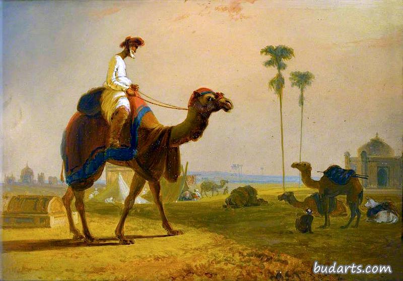 赫卡拉骆驼（东印度群岛的一幕）