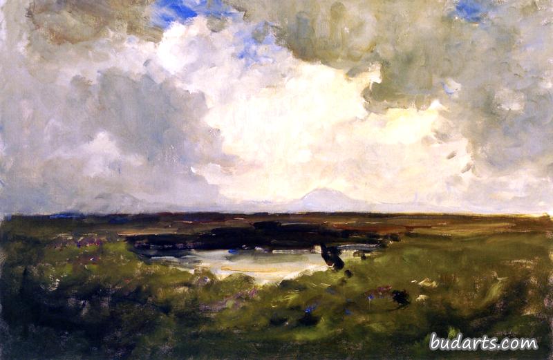 梅奥郡，厄里斯沼泽