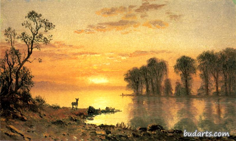 日落，鹿，河