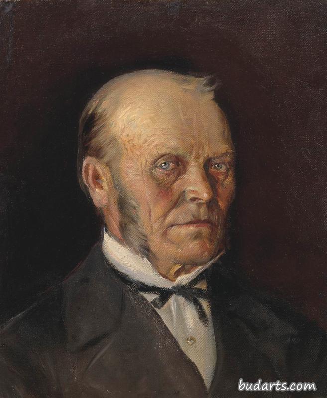 V.I.内斯特罗夫的肖像