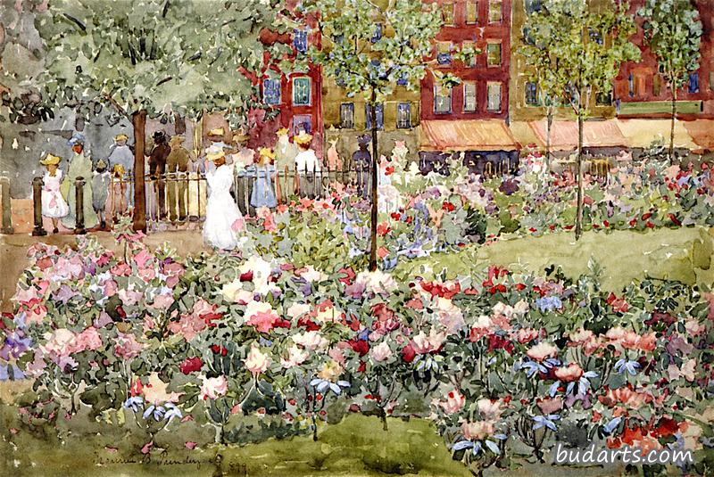 杜鹃花，波士顿公共花园