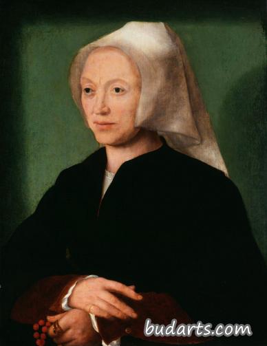 卡蒂恩·范·米塞尔蒂伦，艺术家的妻子